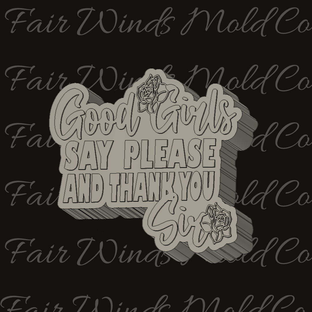Good Girls Say Please and Thank You Sir