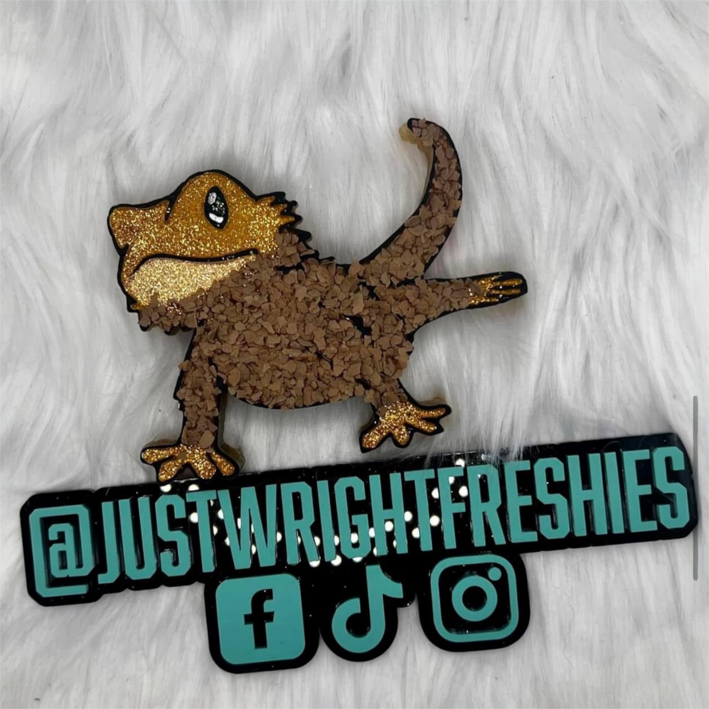 Bearded Dragon