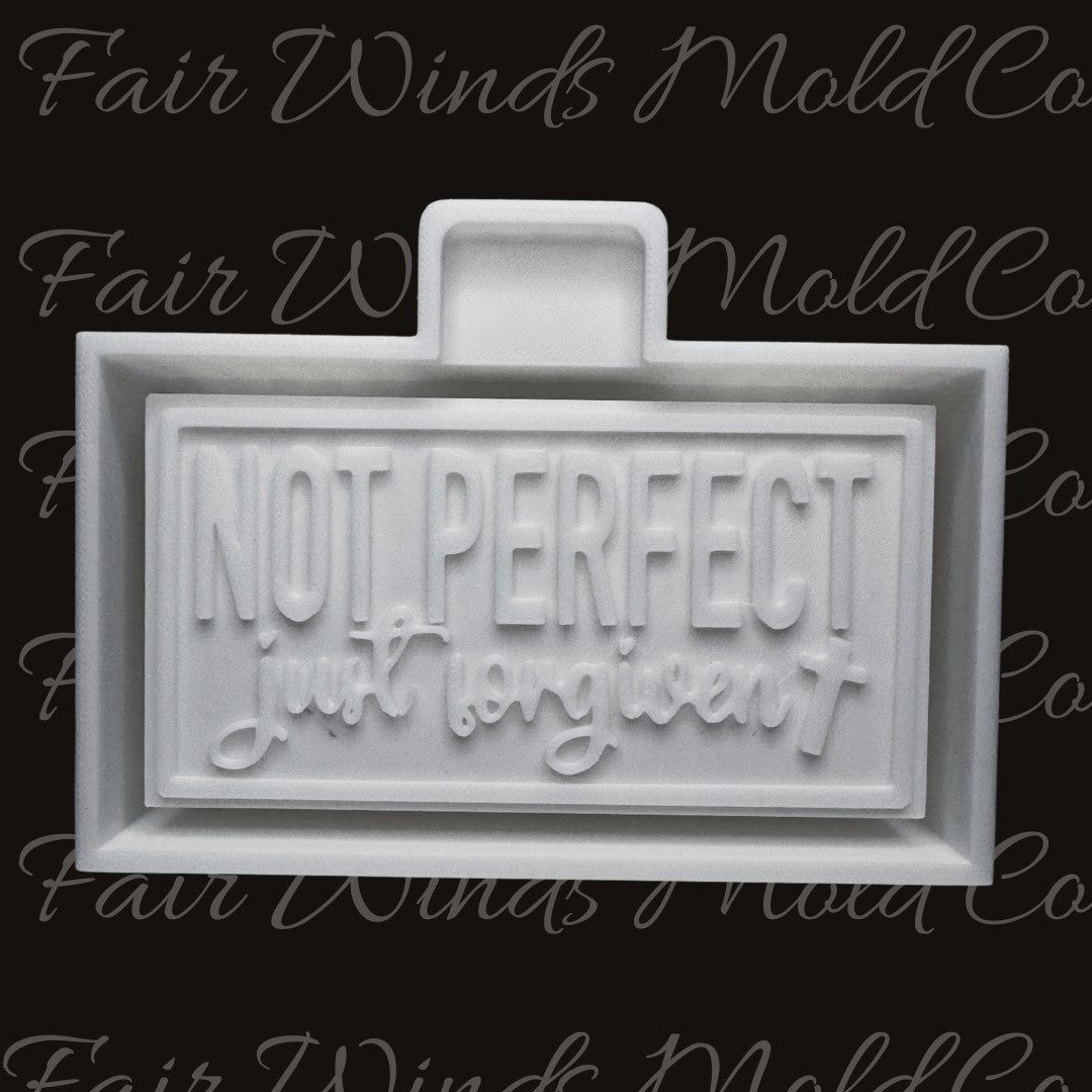 Not Perfect Just Forgiven
