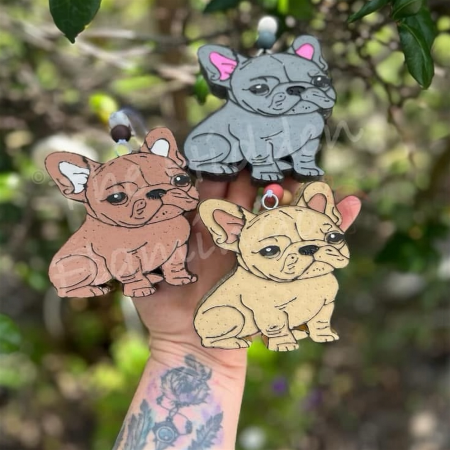 Frenchie