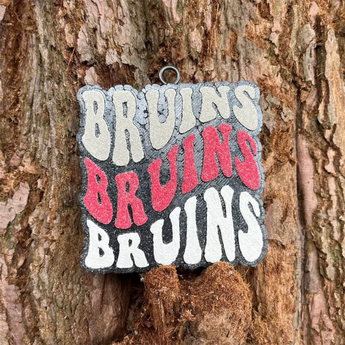 Bruins