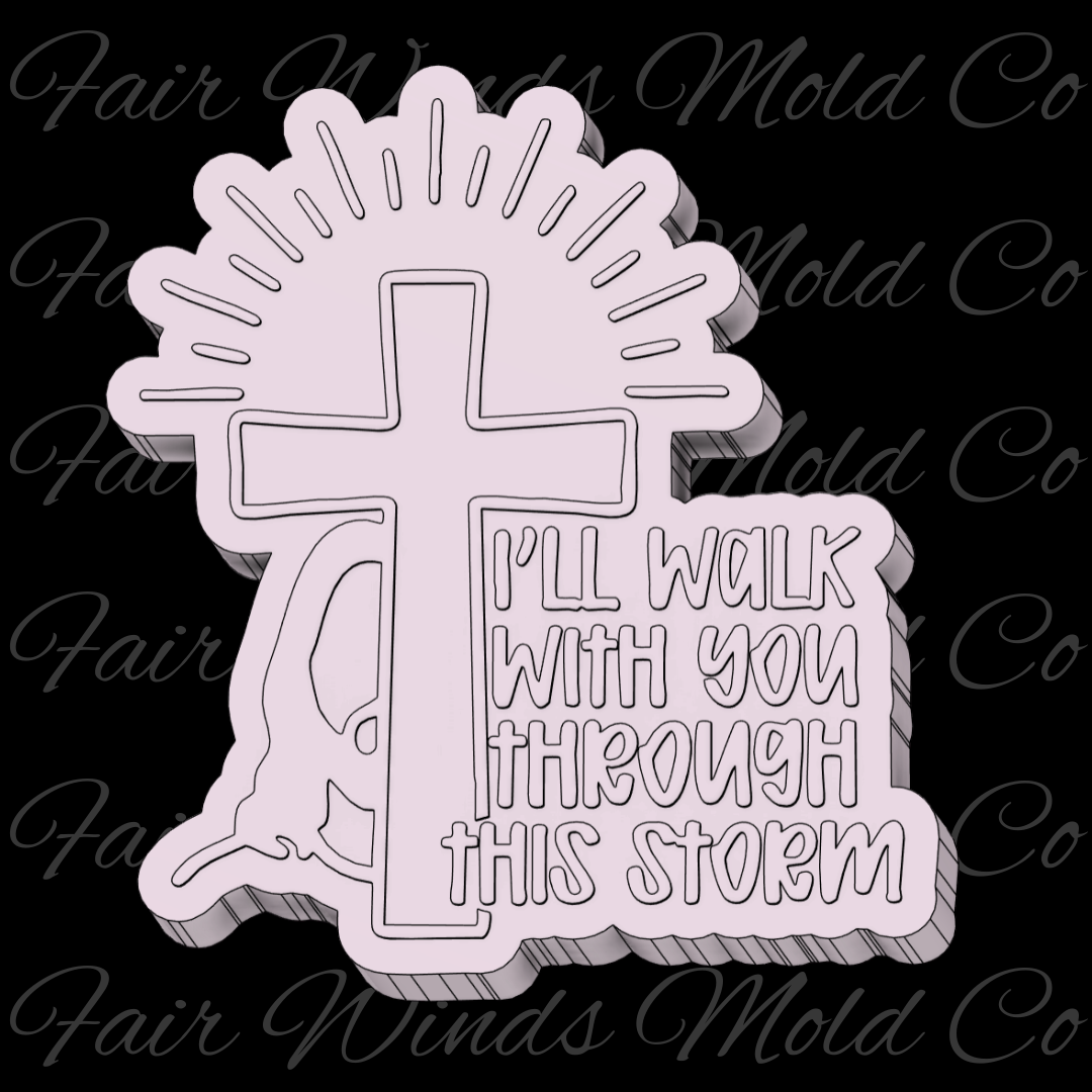 Ill Walk With You Through This Storm