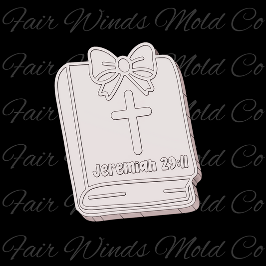 Jeremiah 2911 Bible