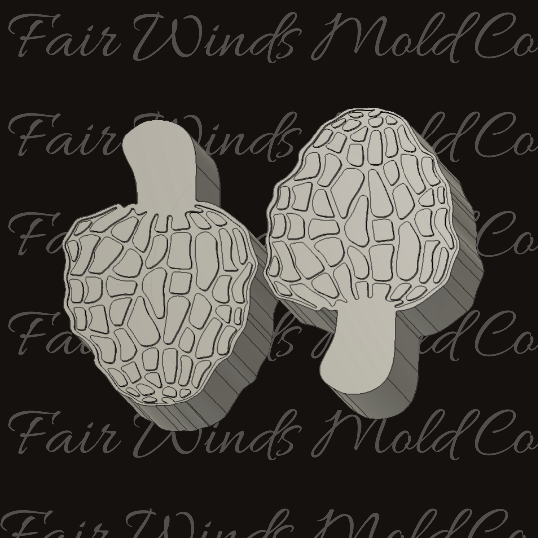 Morel Mushrooms