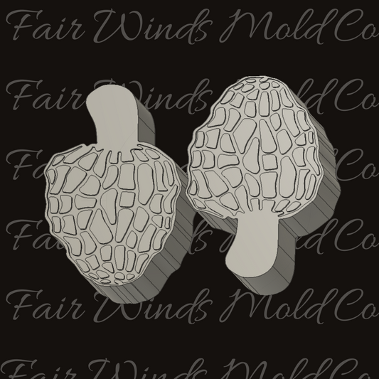 Morel Mushrooms