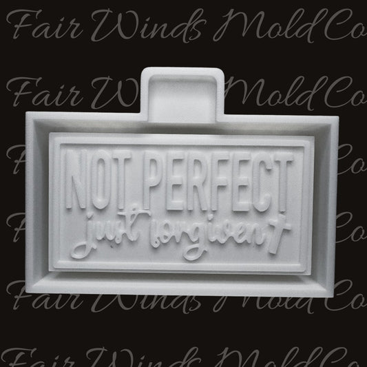 Not Perfect Just Forgiven