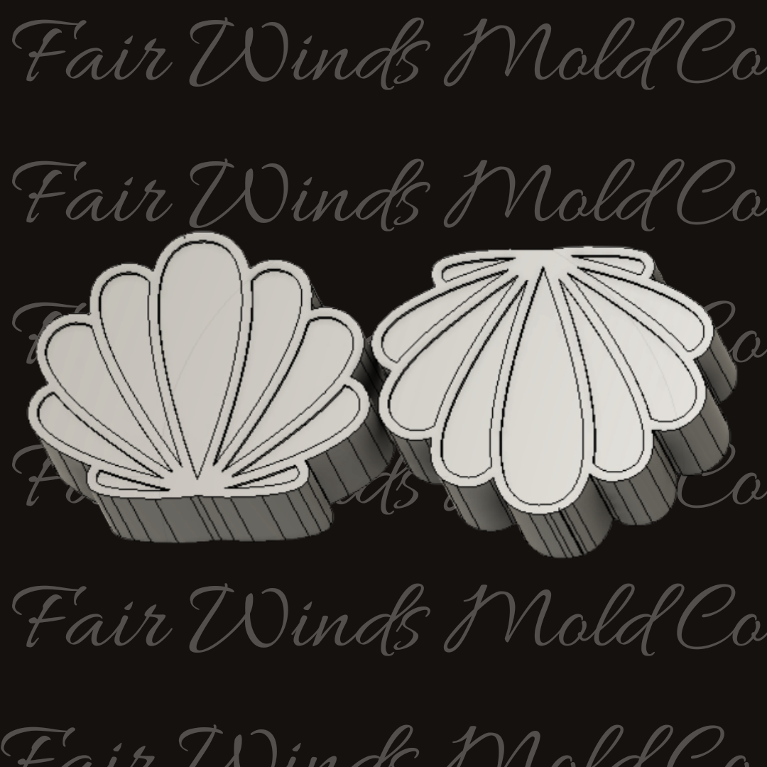 Seashells