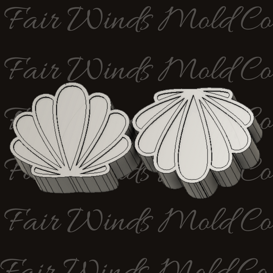 Seashells