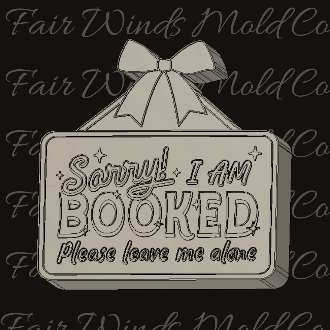 Sorry I Am Booked, Please Leave Me Alone